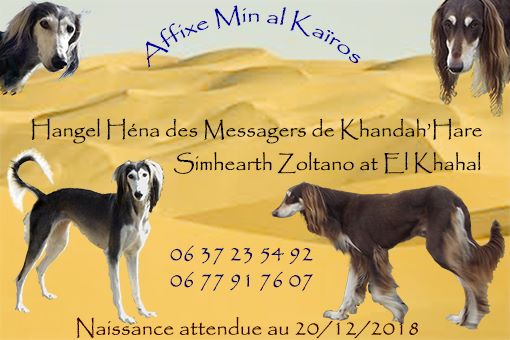 Min Al Kaïros - Nouvelle portée pour le 20/12/2018